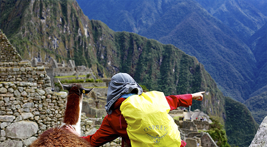 Machu Picchu