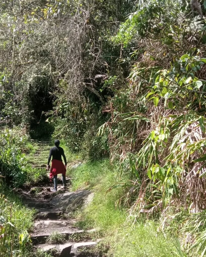 Preguntas Frecuentes sobre el Camino Inca