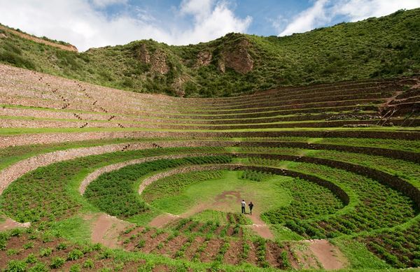 Agricultura Andina